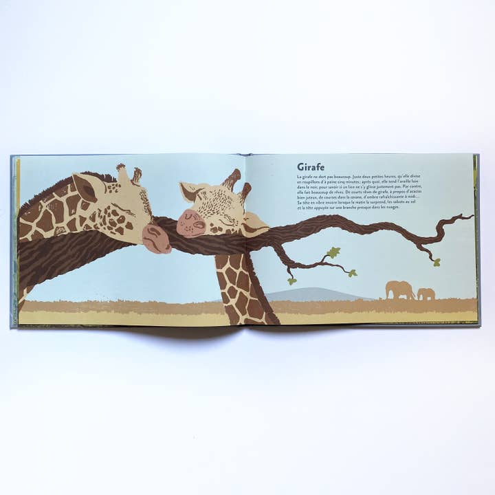 La Partie – wholesale Nature & Outdoors – How Animals Sleep / Documentary / Sleep / Nature2