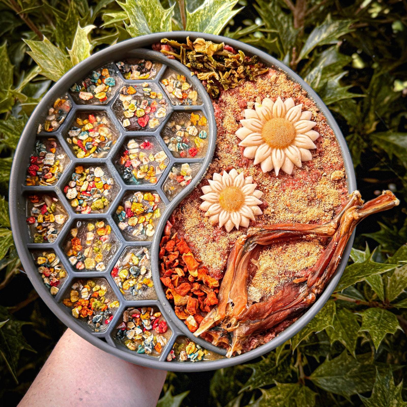 Cooka's Cookies - Wholesale Pet Treats - Dog - Rainbow Dogfetti - Cake and Food Sprinklers6