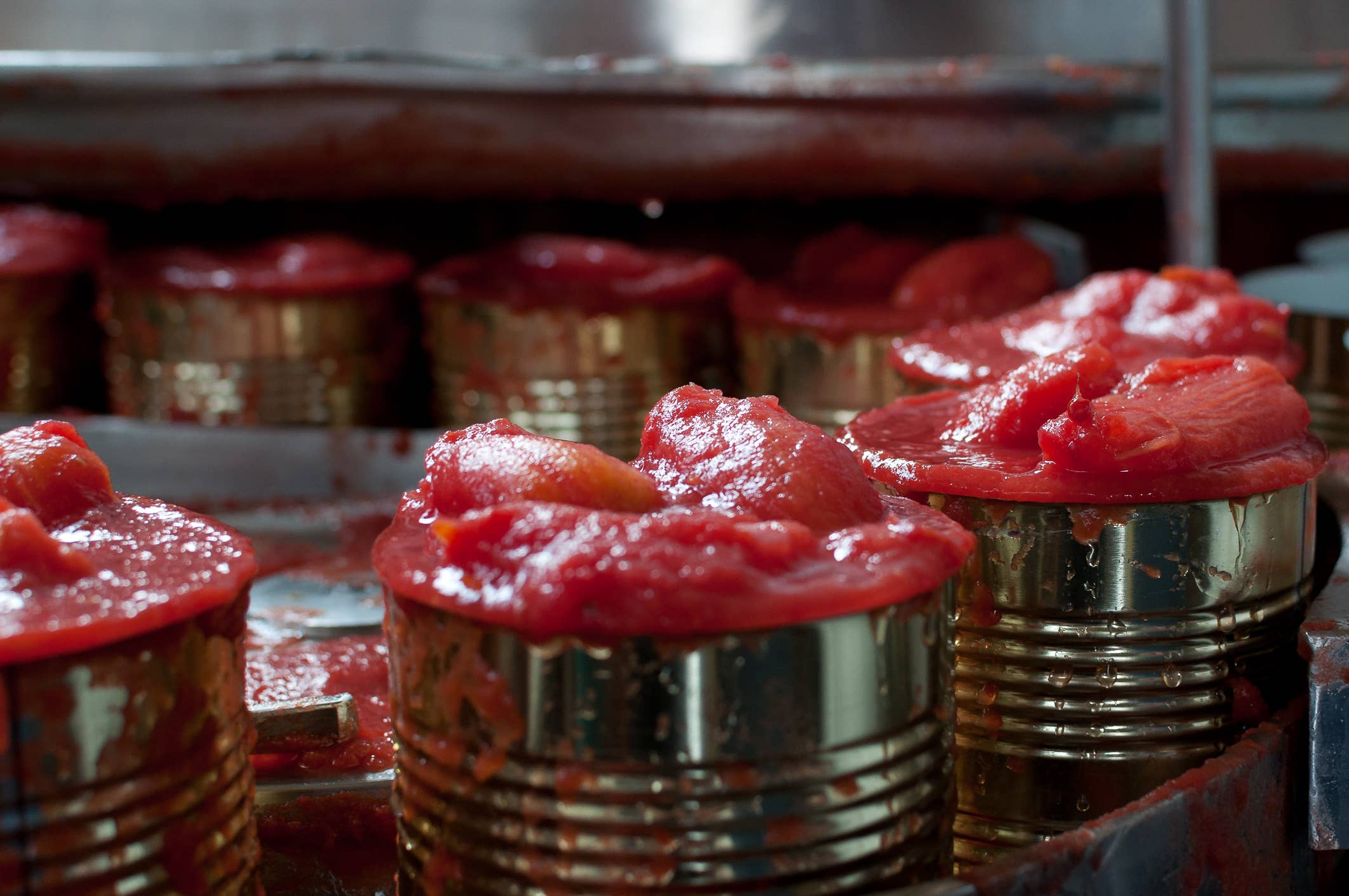 Gustarosso - Wholesale Pasta Sauce - 100% ITALIAN PEELED TOMATO in 0.400 kg tin2