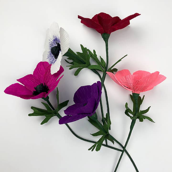 Bergin & Bath - Vente Kit de bricolage - Kit de fleurs en papier Anemone, projet de bricolage pour débutants, Creat