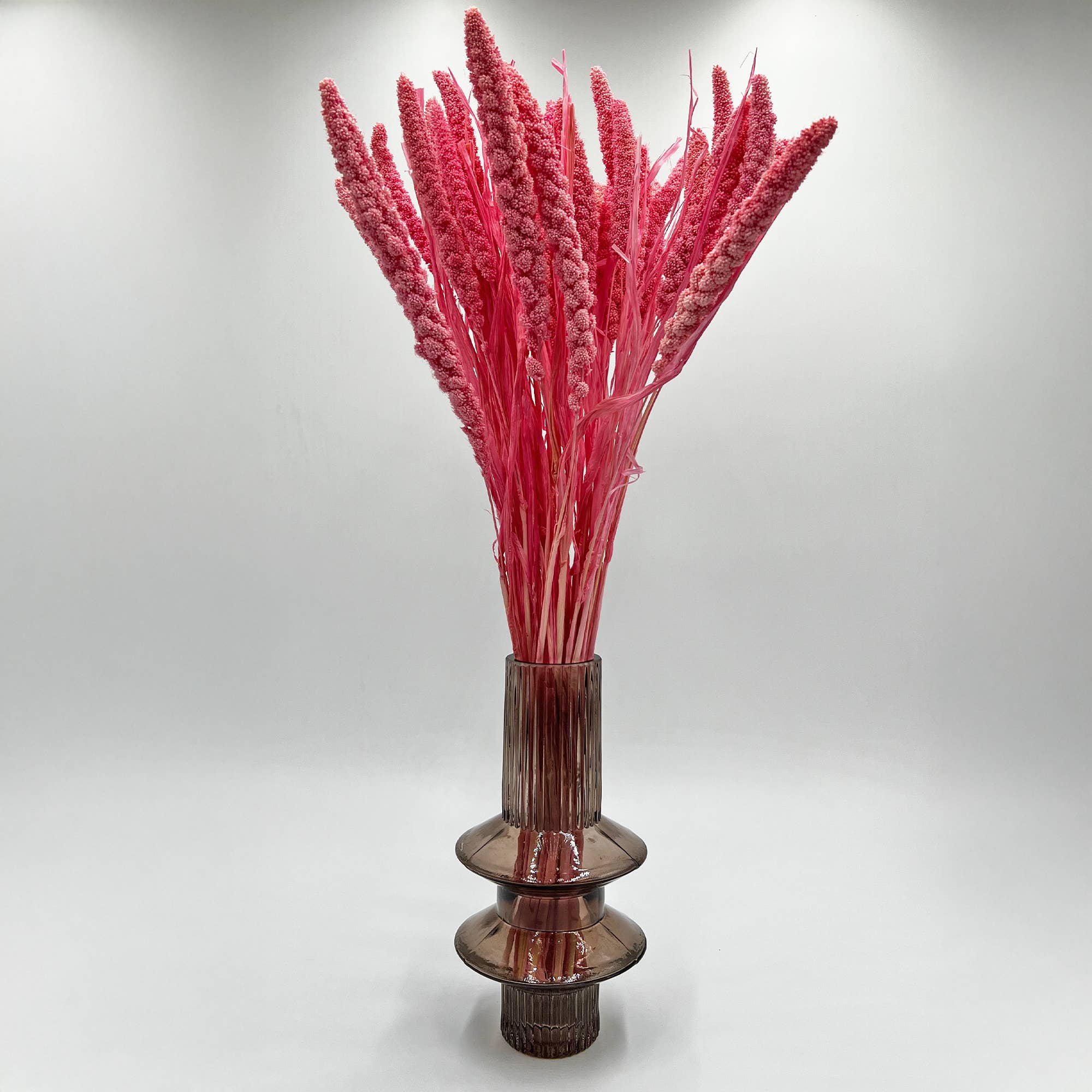 2626 Designs - Wholesale Dried/Pressed Flowers - Dried Preserved Millet Flower 21" Multiple Colors22