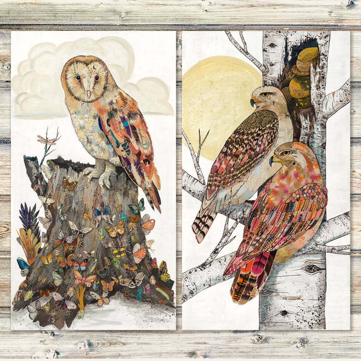 Dolan Geiman - Wholesale Art Print - Art Print | Butterflies and Owl Wall Art | THE SIBYL1