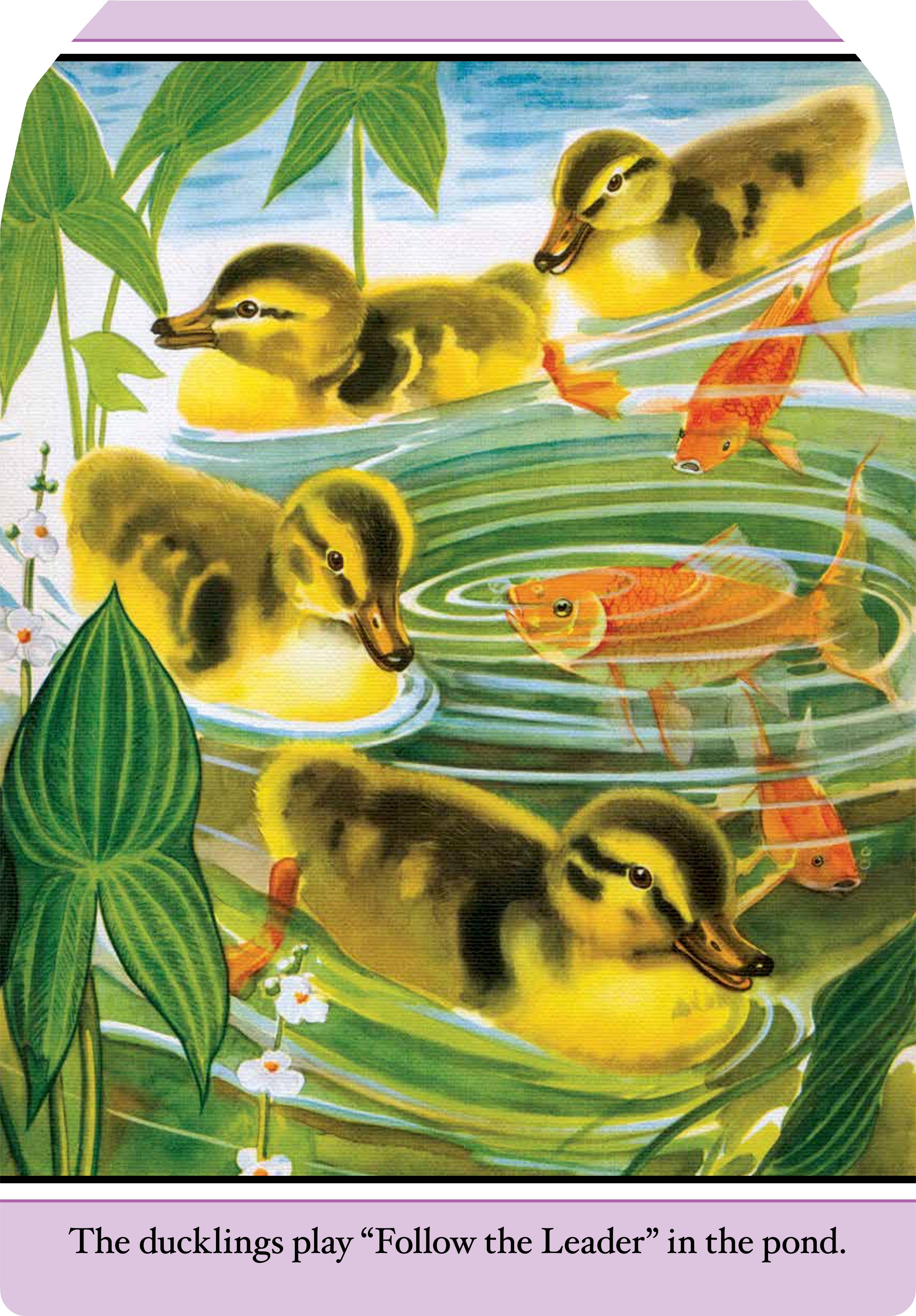 Laughing Elephant Books - Wholesale Baby & Toddler Book (0-2) - Farm Babies- Children's Picture Book-Vintage3