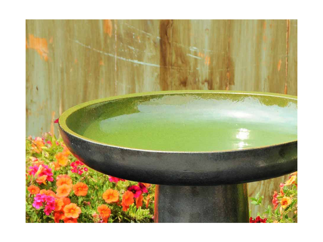 Pacific Home & Garden - Wholesale Bird Bath - Vichy Birdbath/Locking Top, Spring Green, 19"X27.50"0