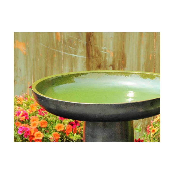Pacific Home & Garden - Wholesale Bird Bath - Vichy Birdbath/Locking Top, Spring Green, 19"X27.50"
