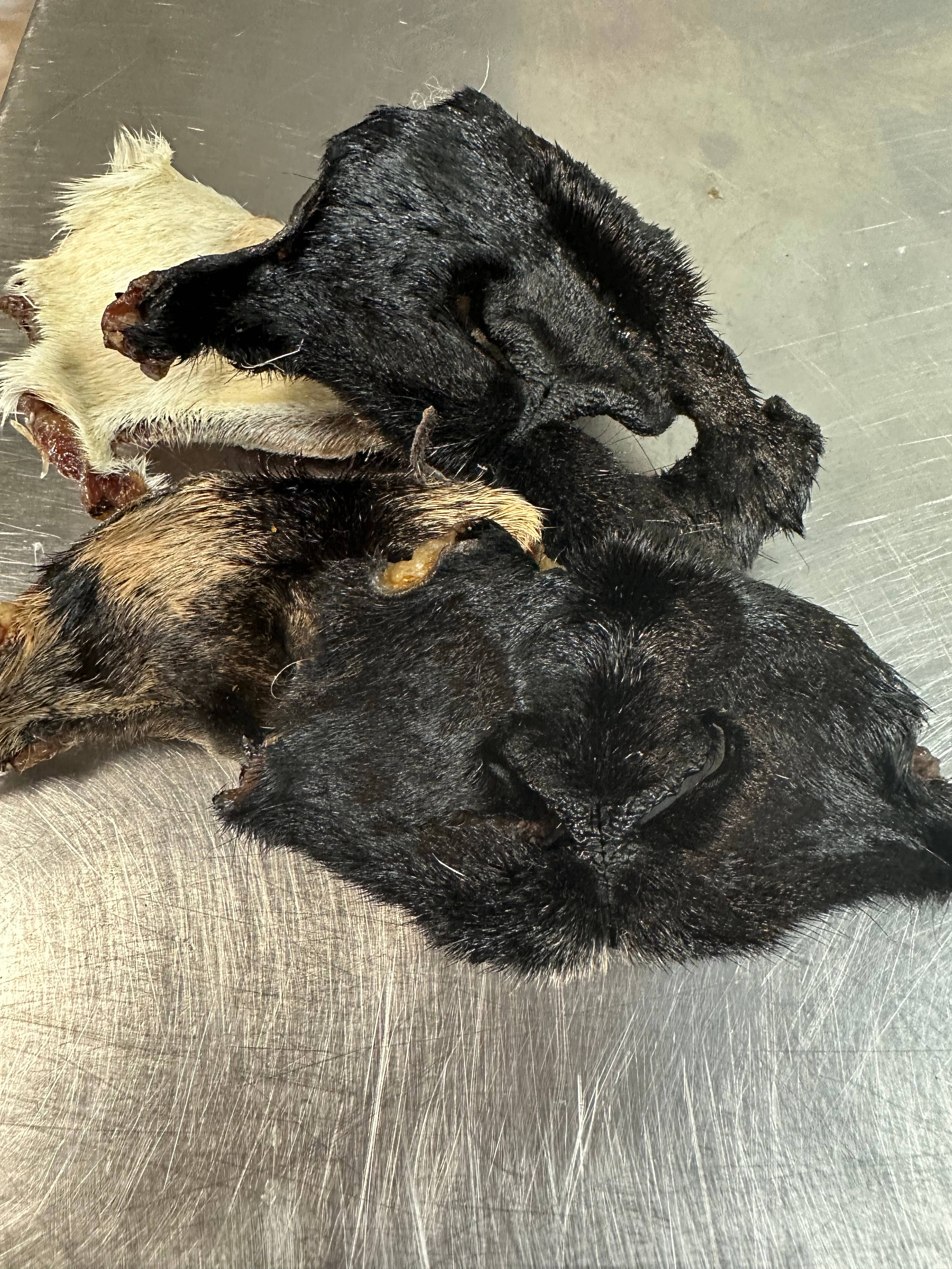 Tapia raw meats for pet food - Vendita all'ingrosso Snack - Cani - Musi di capra2