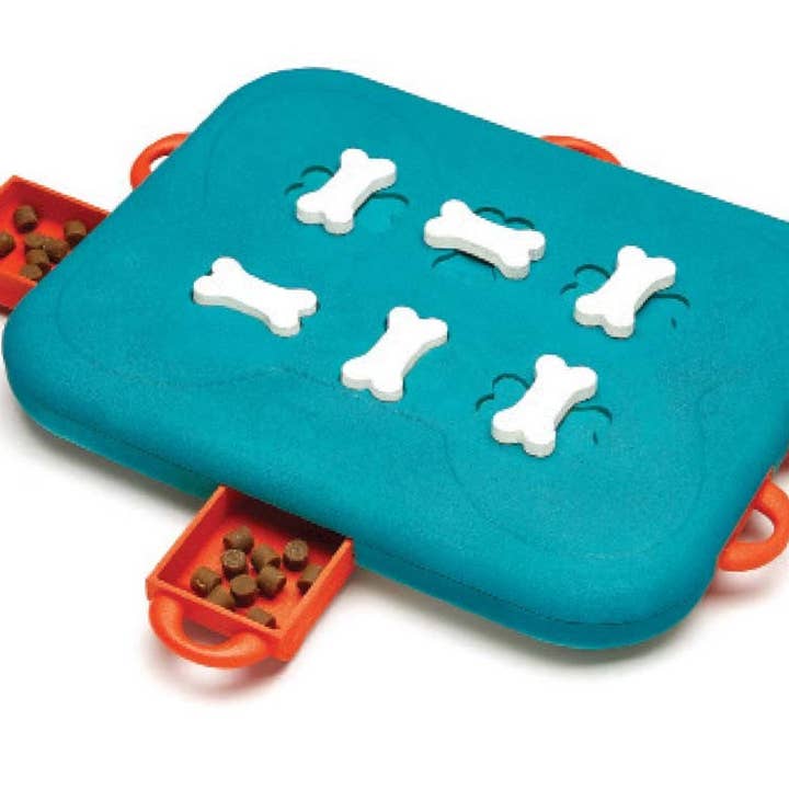 Petdropshipper - Wholesale Pet Toy - Dog - Nina Ottosson Casino Interactive Dog Toy Blue 1ea/LG