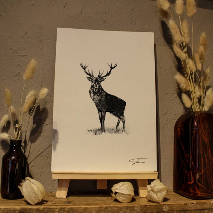 Stag Print for wholesale by Studio Wotton