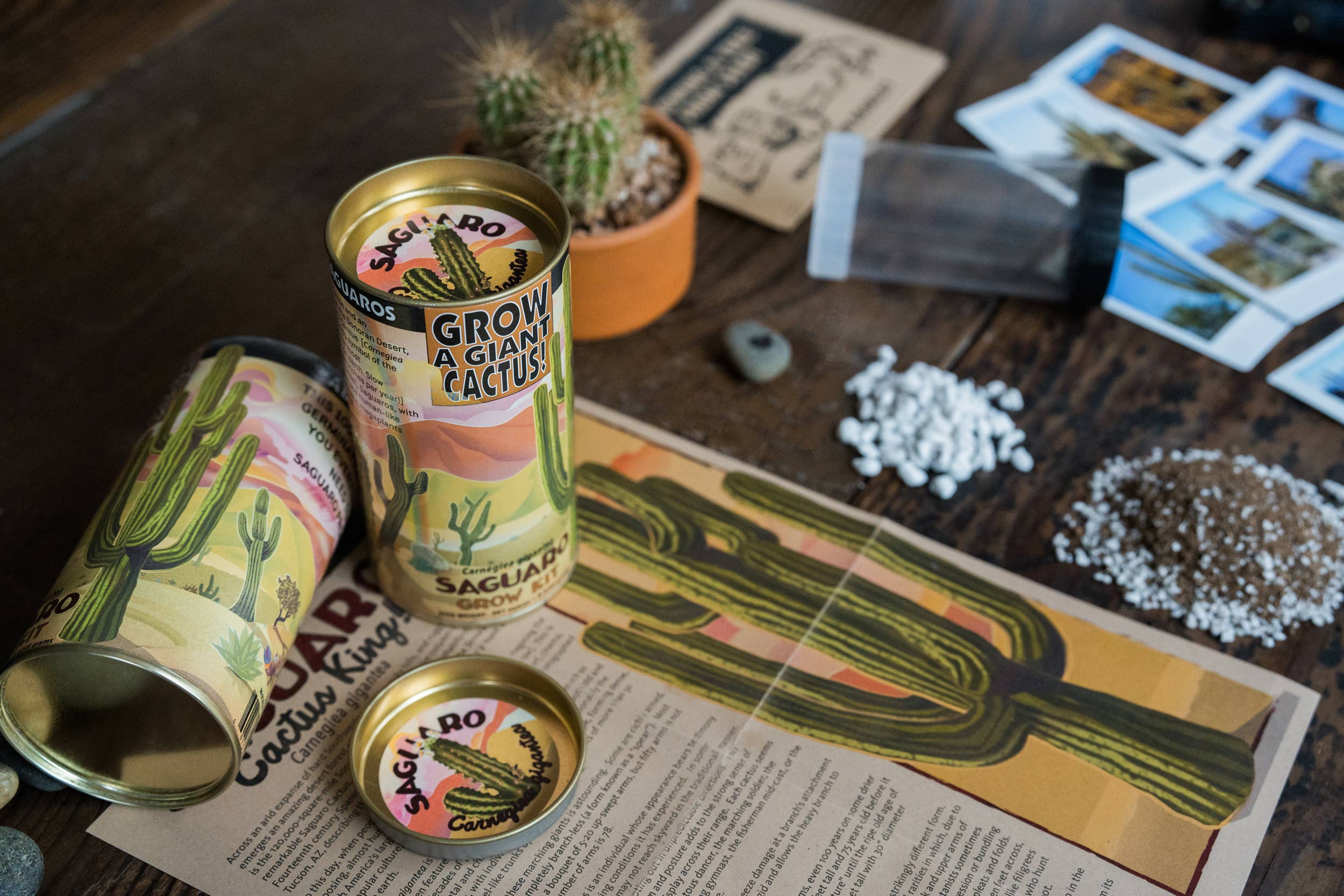 The Jonsteen Company - Wholesale Plant Seeds - Saguaro Cactus | Seed Grow Kit6