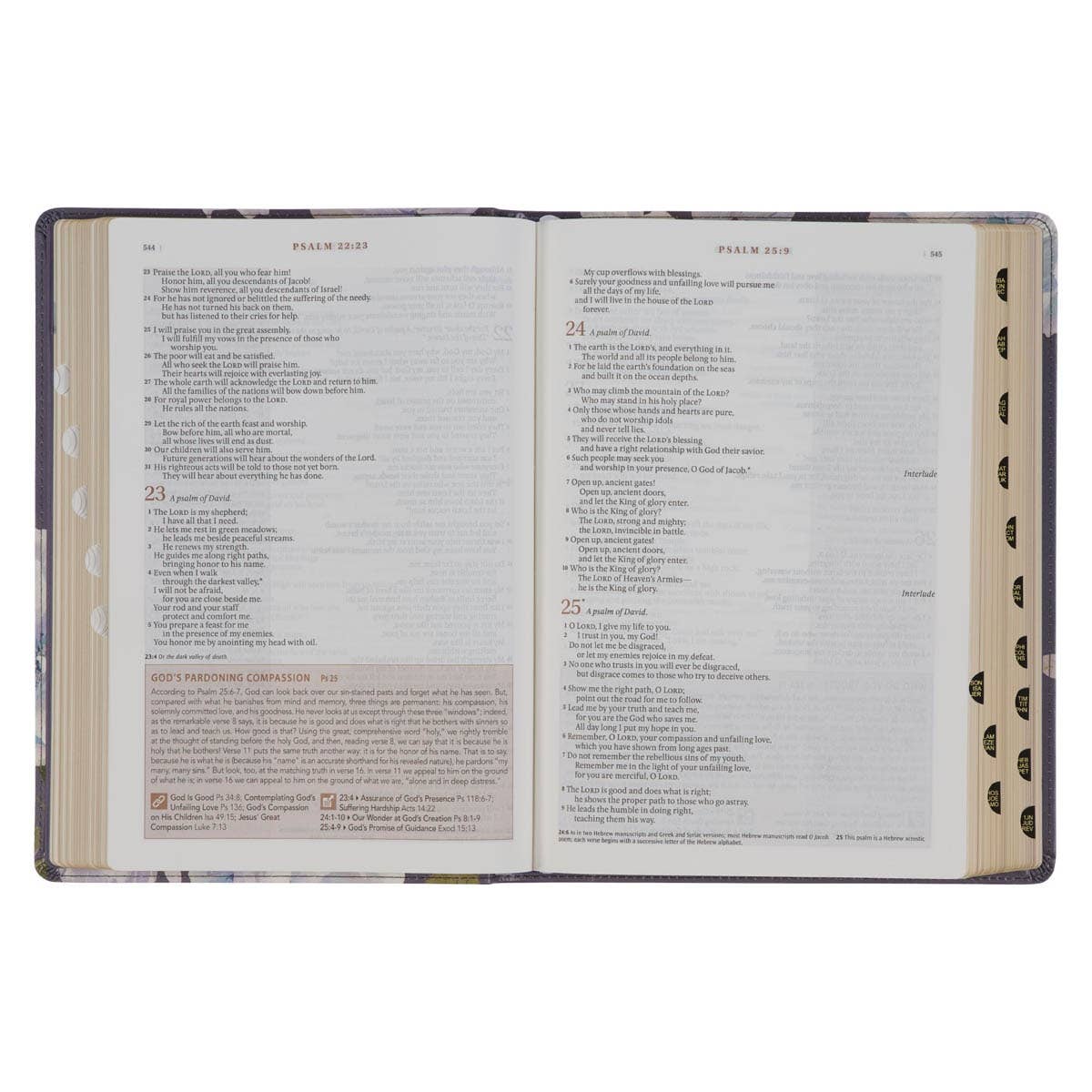 Christian Art Gifts - Vente Religion - Traduction de la Bible sur la croissance spirituelle, New Living, bleu ardoise7