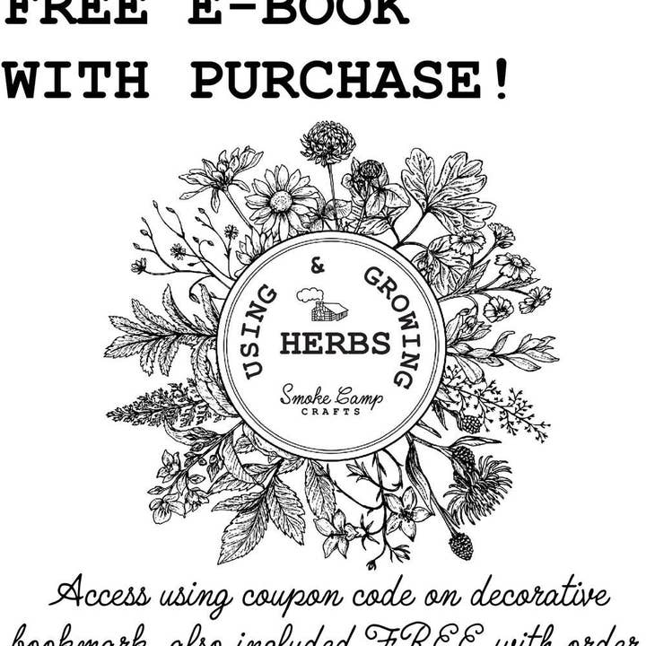 Smoke Camp Crafts - Wholesale Plant Seeds - Blue Vervain (Verbena hastata) - 0.1 grams, 100 seeds3