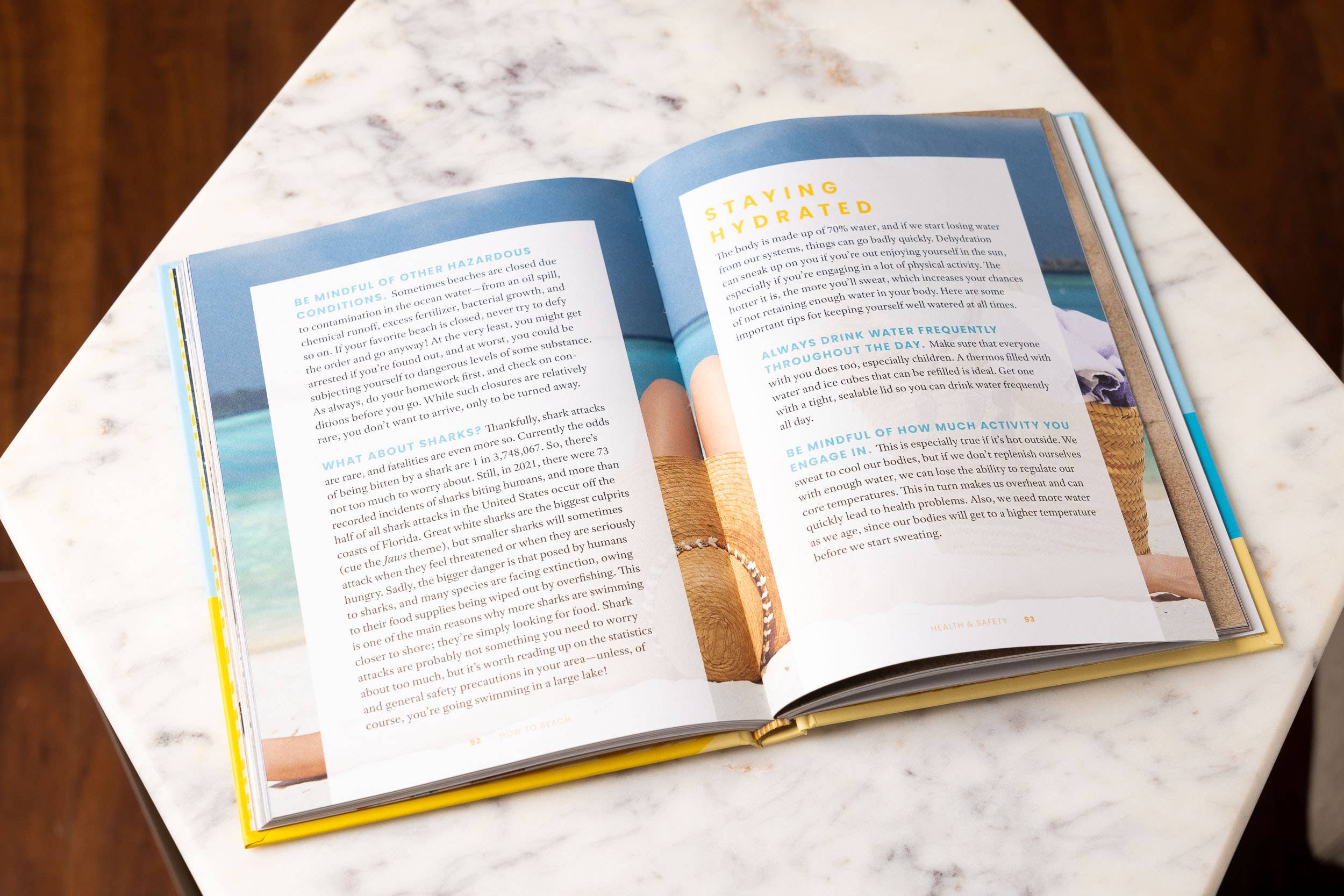 HarperCollins Focus - Wholesale Travel - How to Beach: The Professional Beachgoer's Guidebook4
