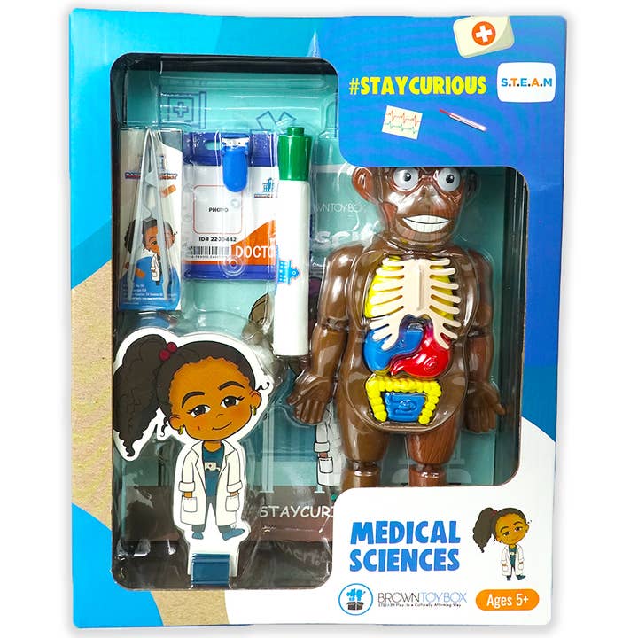Haylee Medical Science STEAM Kit for wholesale by Brown Toy Box
