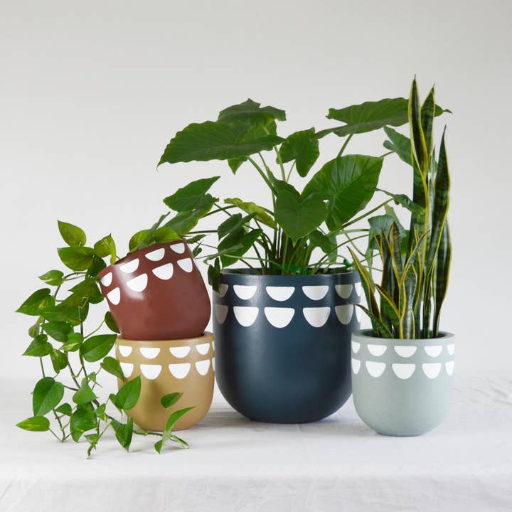 POT INCURVÉ | JARDINIÈRE pour la vente par Common House Studio