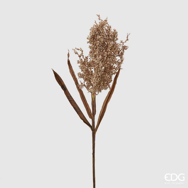 Tørret sorghumgren for engroshandel hos edg