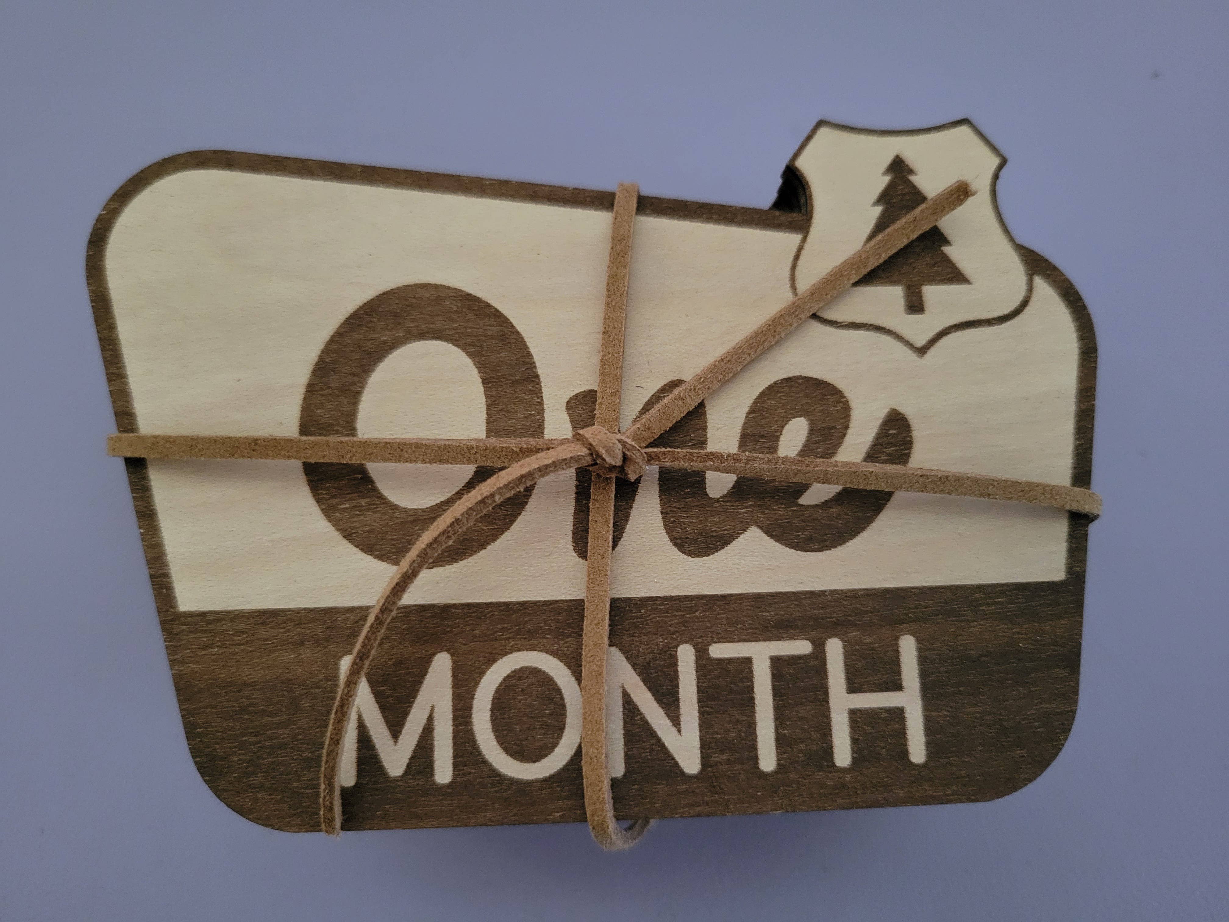 cherelle lynne - Wholesale Milestone Art/Keepsake - Kids & Baby - National Park Monthly Milestone Markers, Welcome Sign2