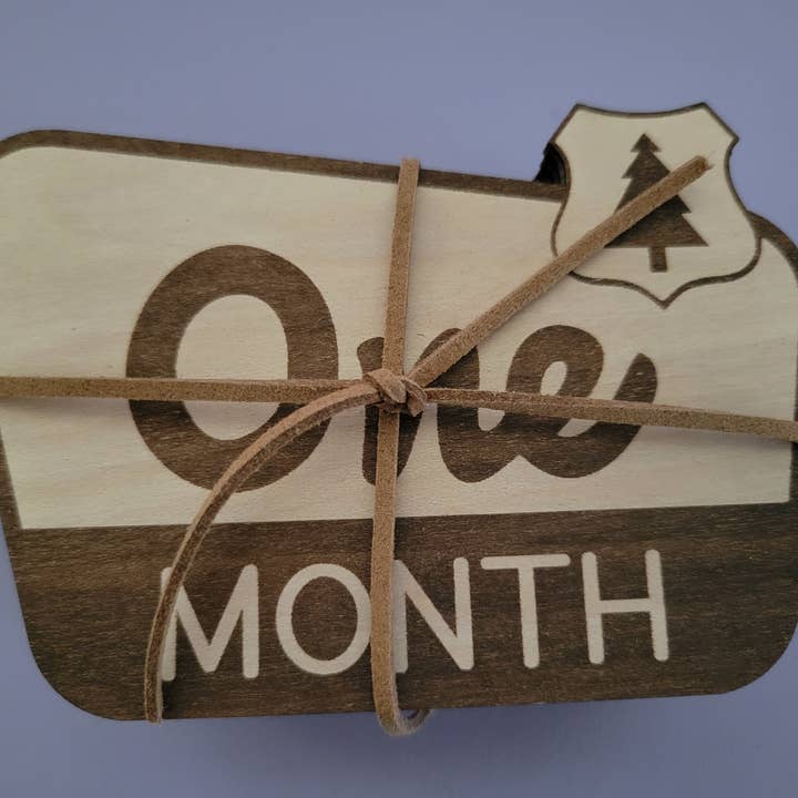 cherelle lynne - Wholesale Milestone Art/Keepsake - Kids & Baby - National Park Monthly Milestone Markers, Welcome Sign2