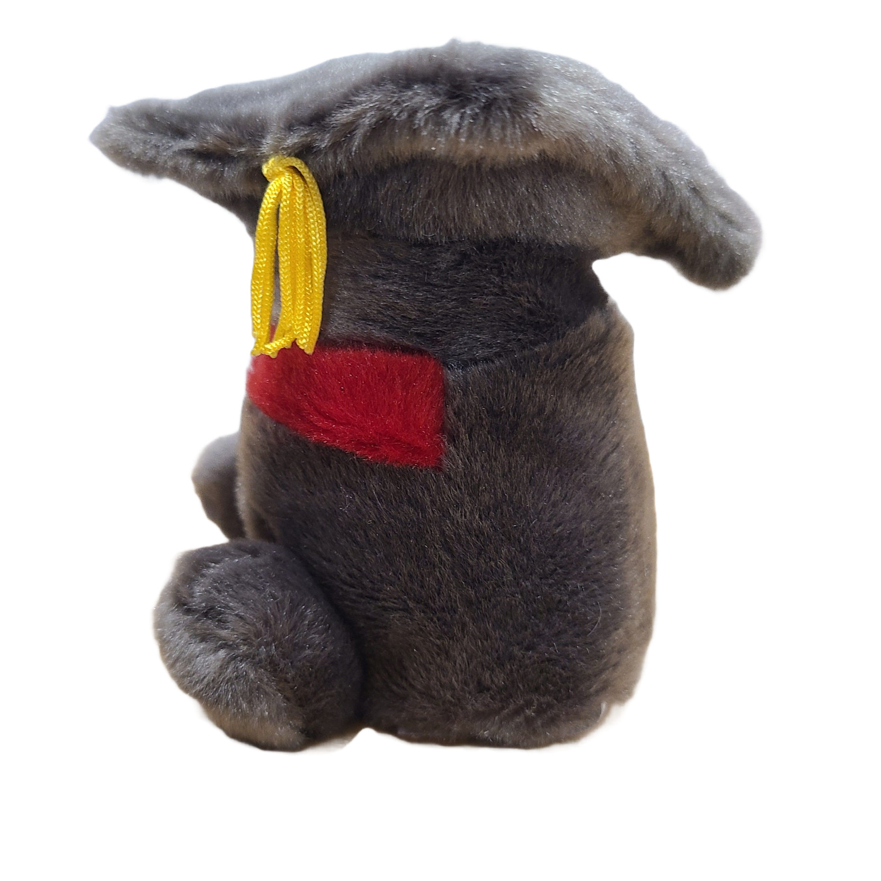 Canned Gifts - Wholesale Gag Gift/Novelty Gift - Canned Graduation Cap | Graduate Gift | Plush in Can w/Jokes6