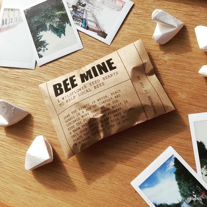 DSB Gifts – wholesale Party gift – Wildflower seed origami heart 'bee mine' envelope4