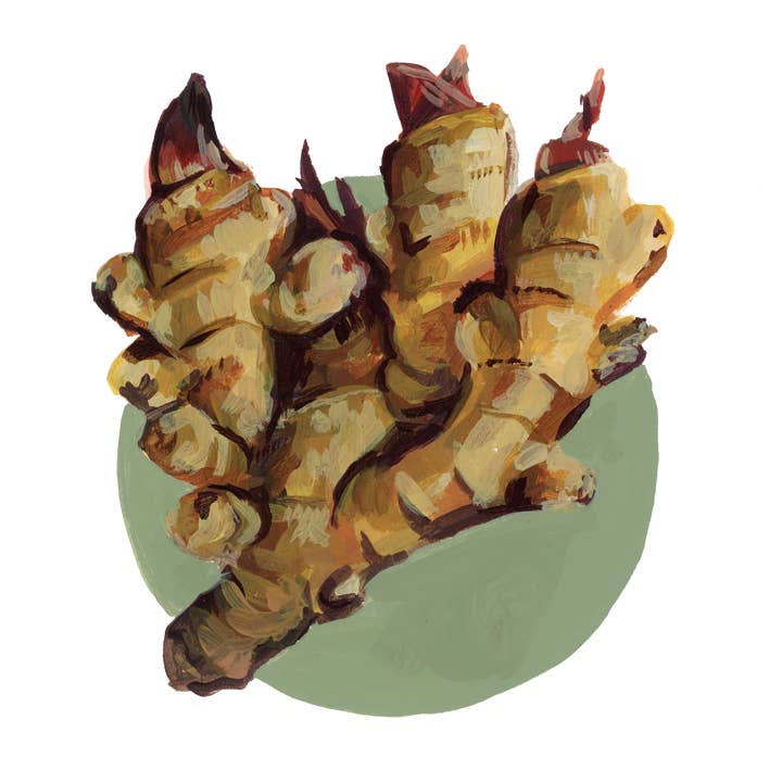 Ingefær klistermærke for engroshandel hos The Good Boy Collective