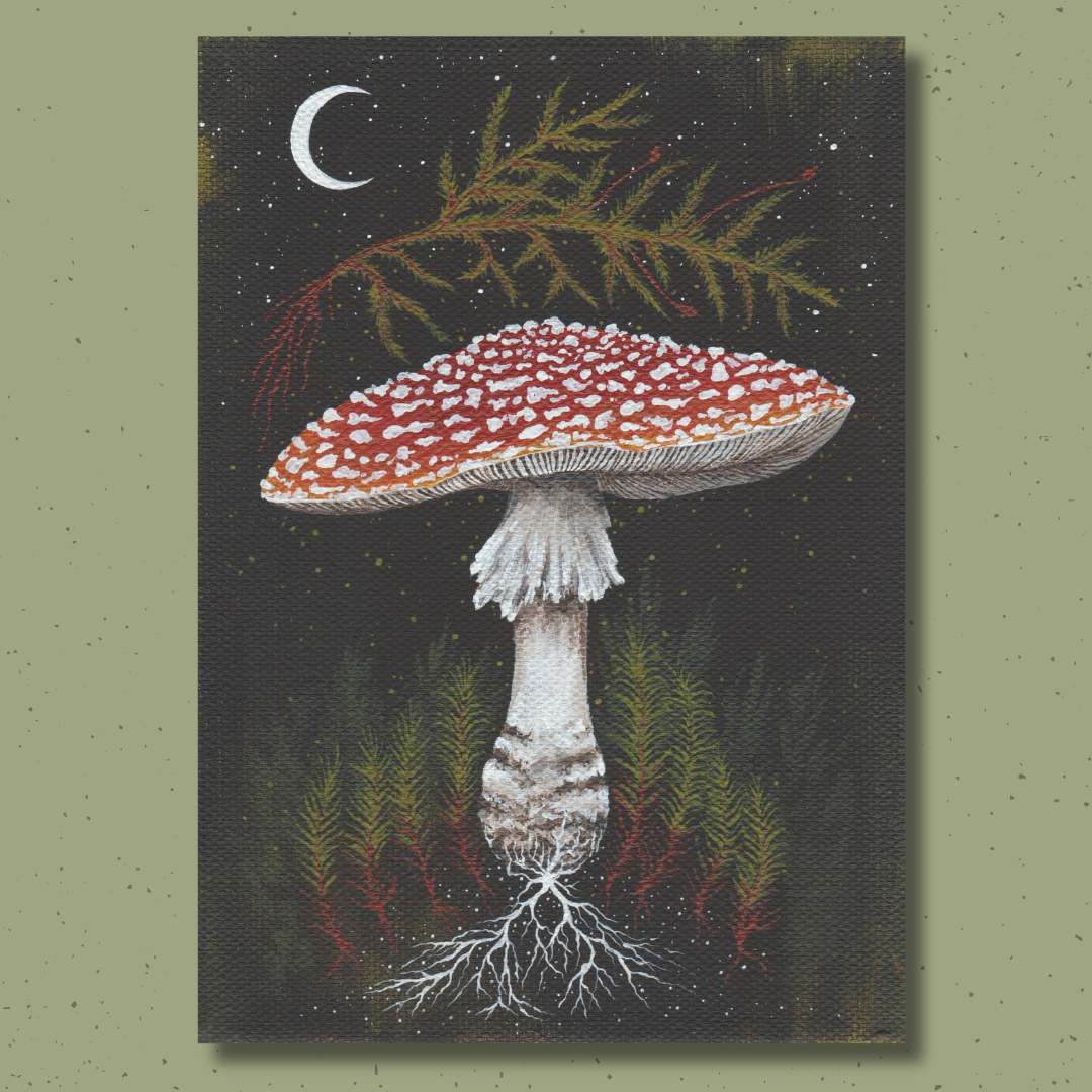 Up Moss Creek Studio - Wholesale Postcard Set - Amanita Mushroom Postcard Set7