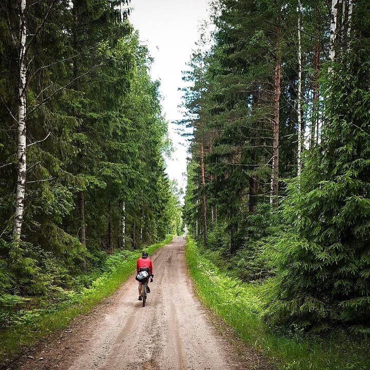 Rocco Natural Wellness - Vente Crème/baume/pommade cicatrisante - Crème anti-maux de selle1