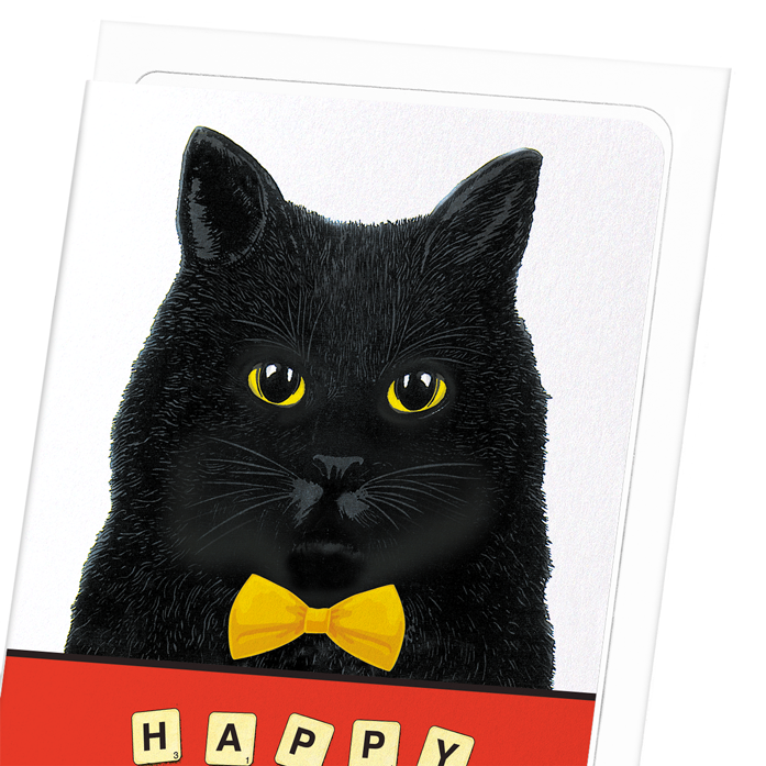 Ezen Trade - Wholesale Birthday Card - BIRTHDAY SCRABBLE CAT: Greeting Card2