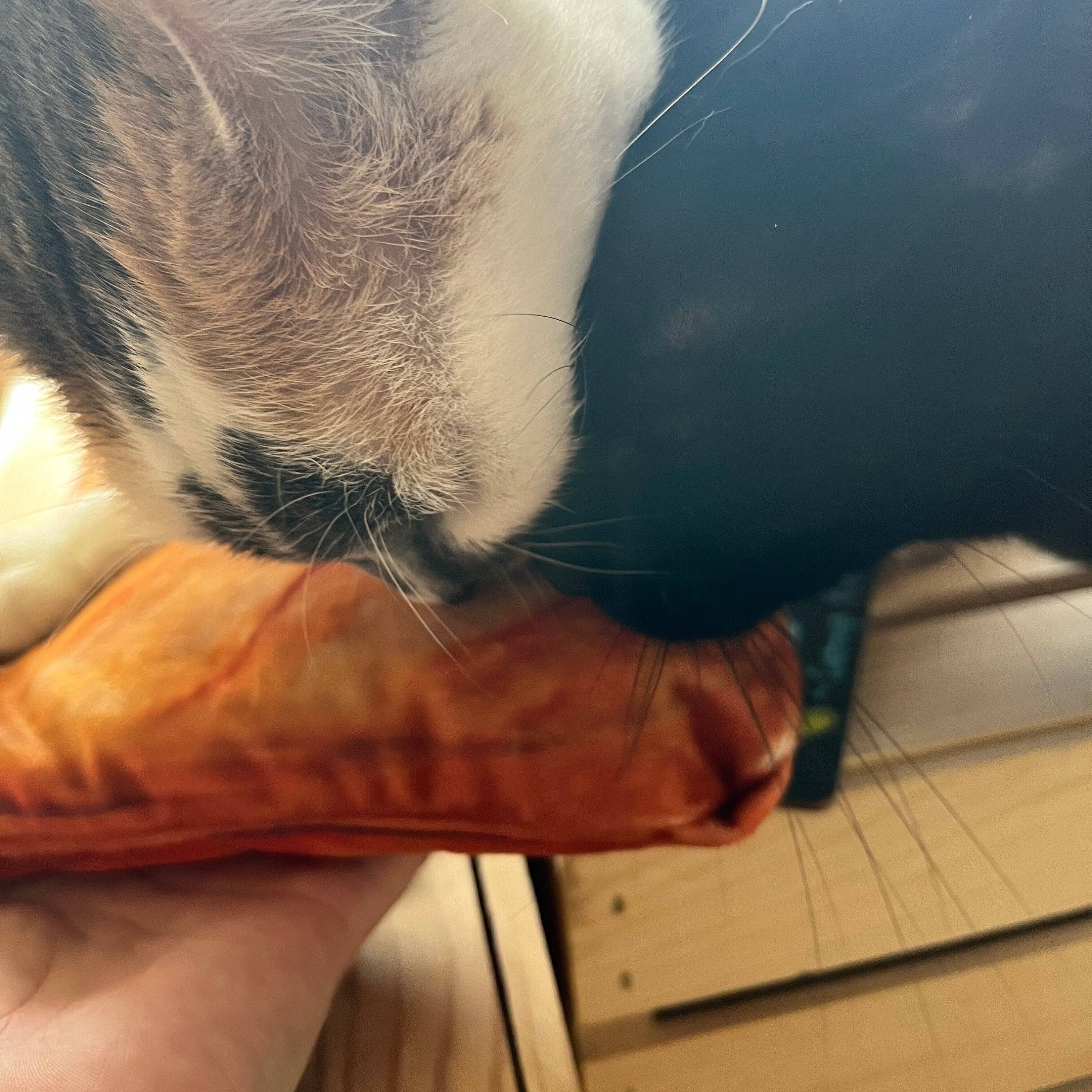 HaiKitti - Wholesale Pet Toy - Cat - REFILLABLE Loaf4