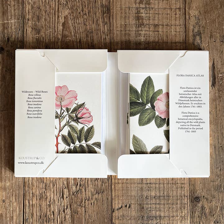 Koustrupco - Wholesale Stationery/Notecard Set - Cardfolder Wildrosen - 8 cards w/envelopes (german)2