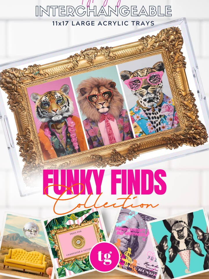 11x17 FUNKY FINDS insert set of 10 for wholesale by TAYLOR GRAY