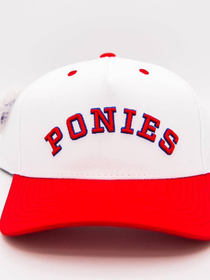 Ponies for wholesale by Surf and Turf Golf