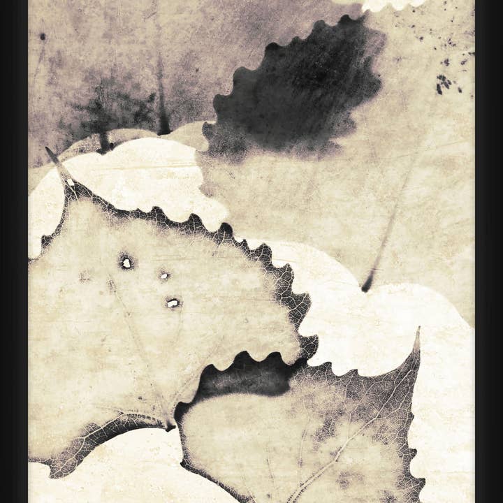 Décoration murale encadrée de feuilles 20" x 45,7 cm pour la vente par PTM Images