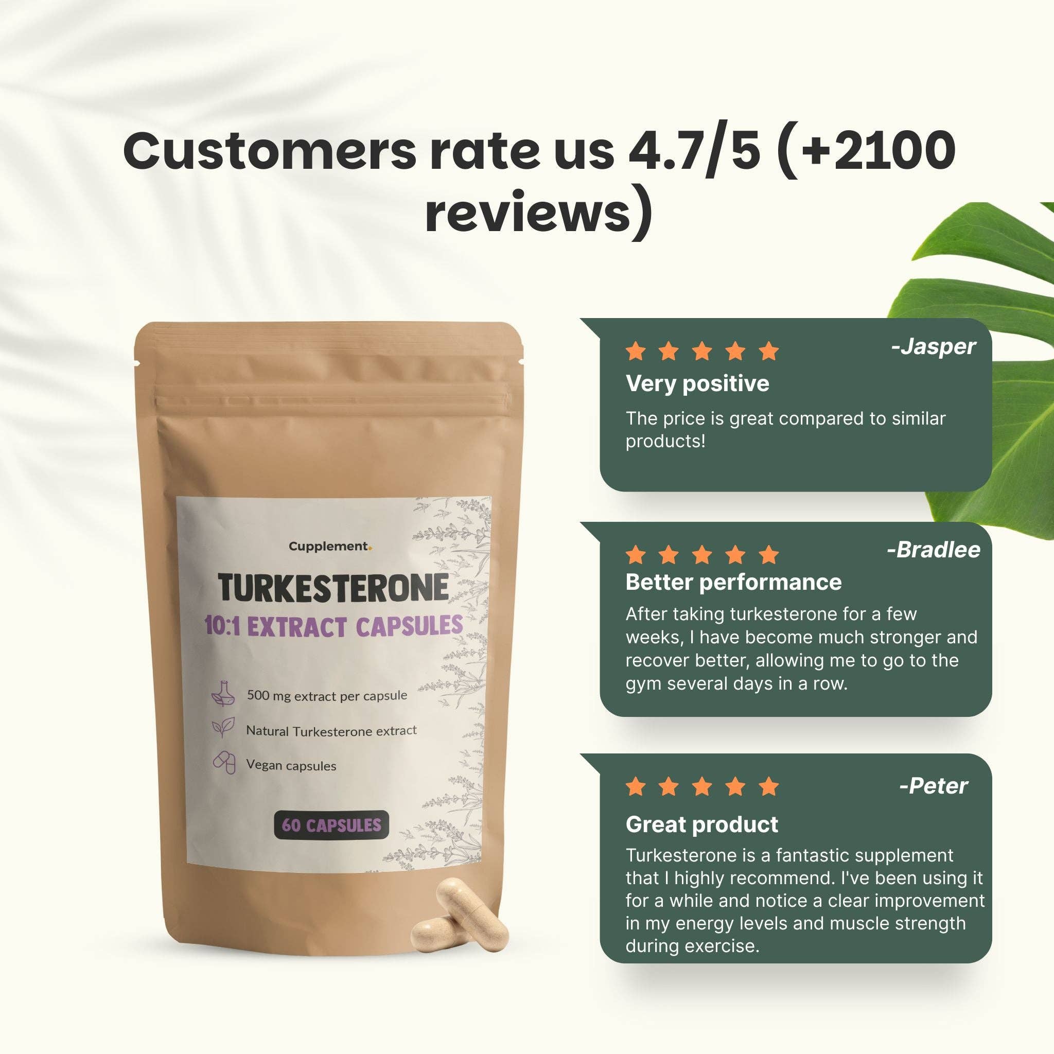 Cupplement b.v. - Wholesale Oral Supplement/Vitamin - Turkesterone Capsules 500 mg  60 Capsules5