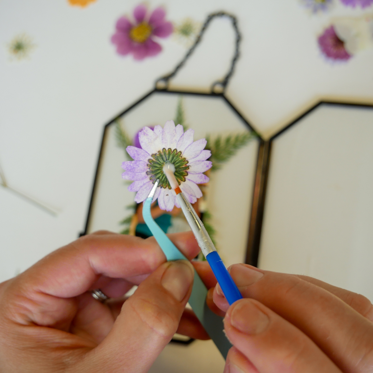 Adults & Crafts - Venta al por mayor Kit de manualidades - Kit de manualidades con marcos de flores prensadas9