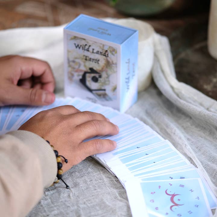 REMOVED BRAND - Wholesale Tarot Cards - Wild Lands Tarot4