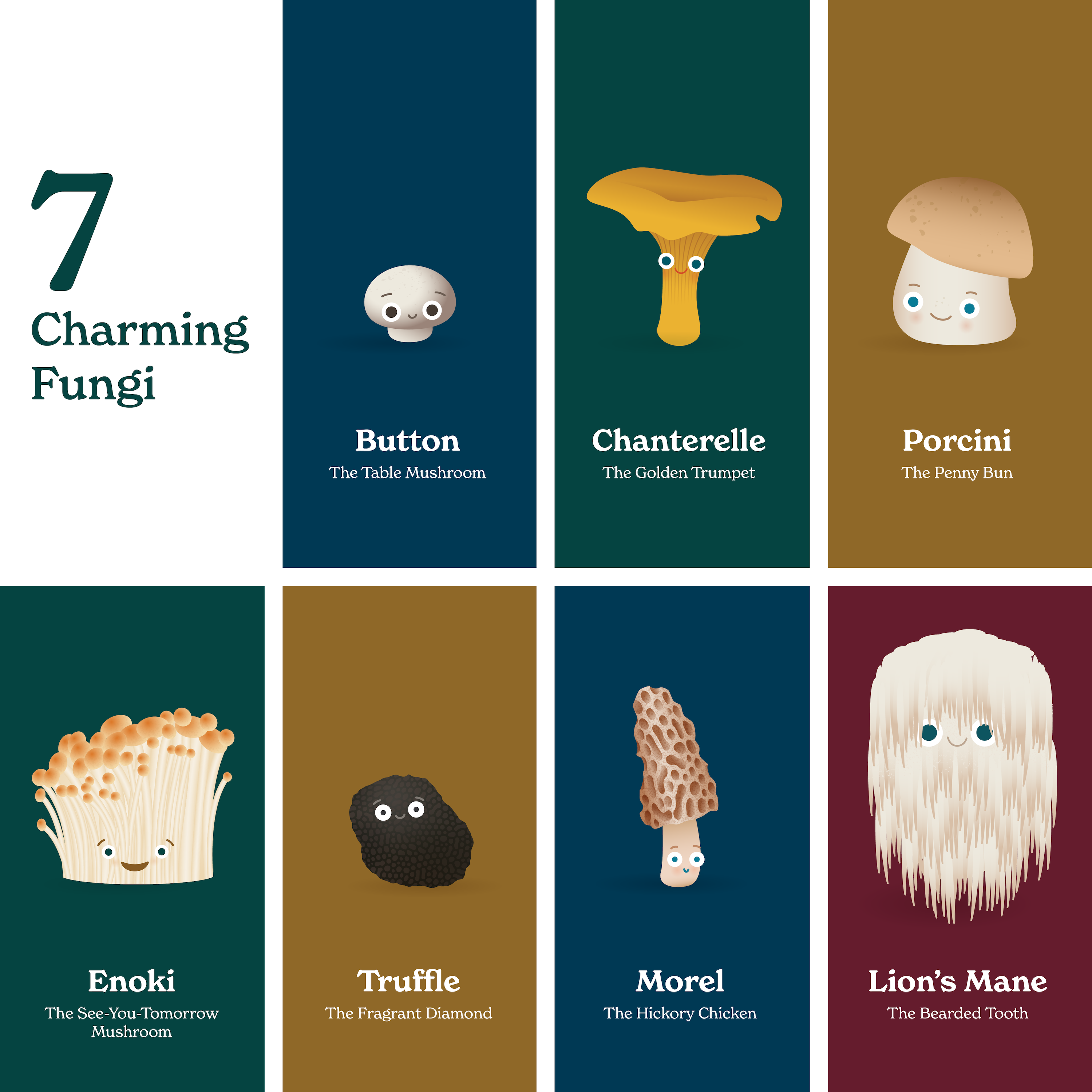 Chunky Deli - Wholesale Baby & Toddler Book (0-2) - Little Book of Fungi4