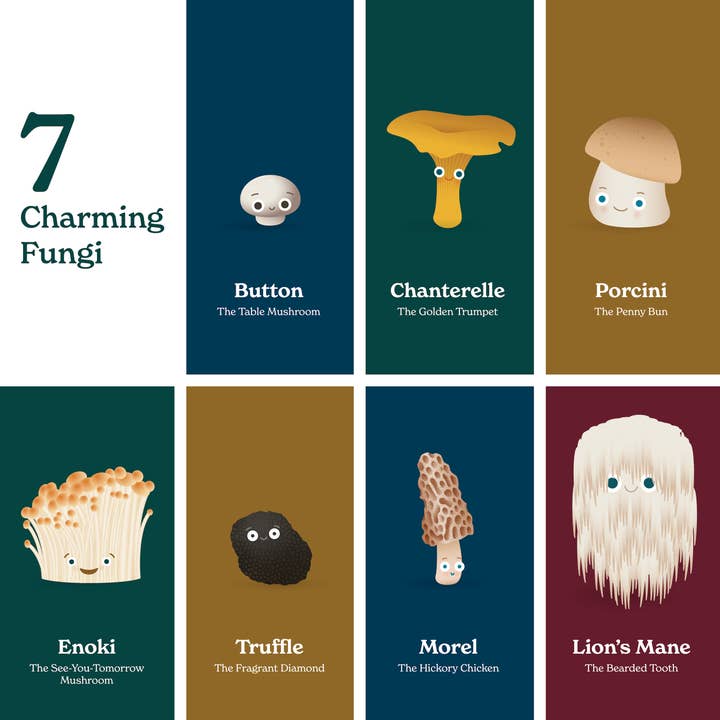 Chunky Deli - Wholesale Baby & Toddler Book (0-2) - Little Book of Fungi4