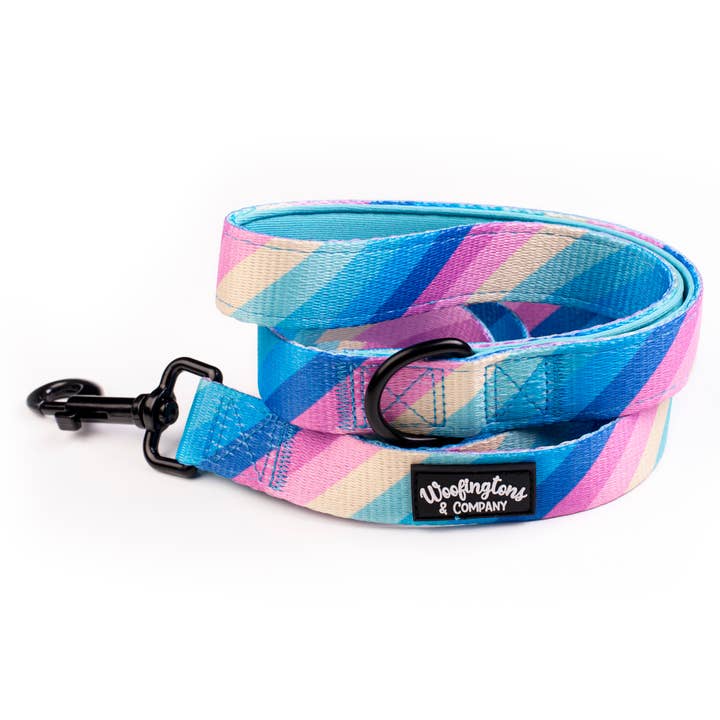 Pastel Rainbow Leash - Gay Pride LGBTQIA+ - Equality - Love for wholesale by Woofingtons & Company