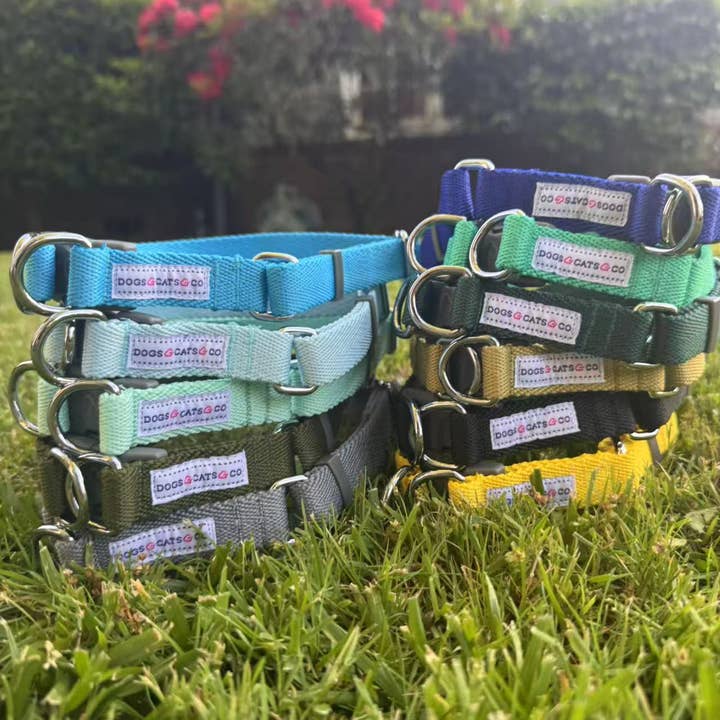 Blueberry Pet - Wholesale Pet collar – Dog - Best-Seller Double D-Ring Dog Collar -Must-Have for All Dogs96