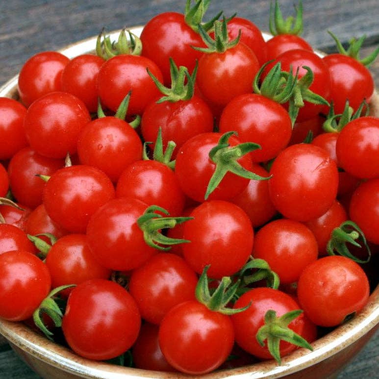 Sow True Seed - Wholesale Plant Seeds - Cherry Tomato Seeds - Cherry Sweetie, ORGANIC2