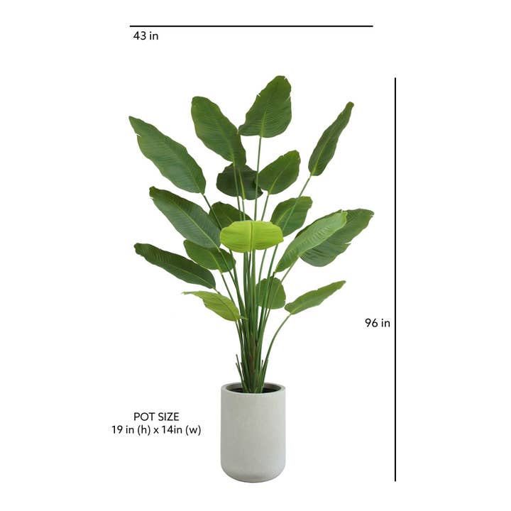 CG Hunter - Wholesale Artificial Plant - 8' Bird of Paradise Tree in Modern Gray Planter4