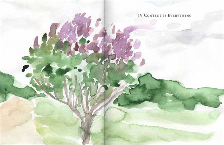 HarperCollins - Wholesale Home & Garden Book - Becoming a Gardener : Catie Marron4