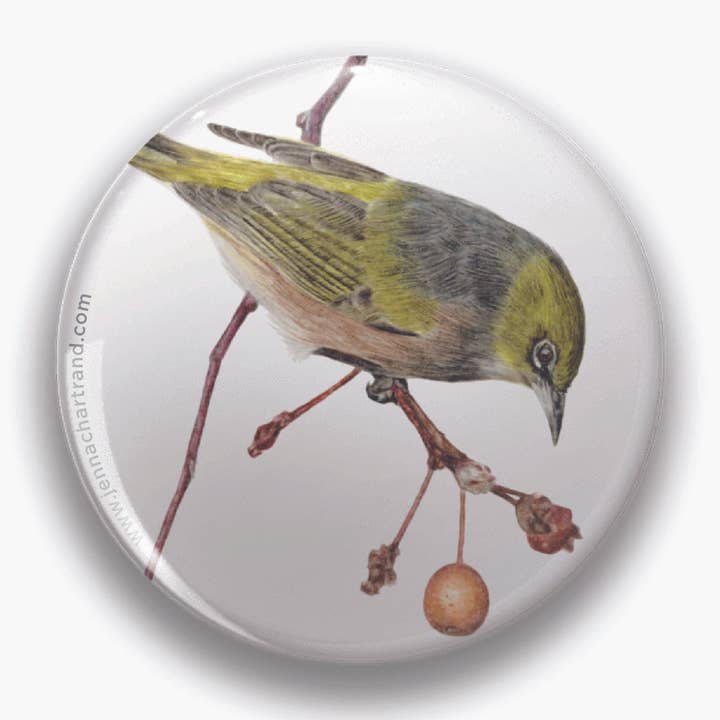 "Hanging By A Moment" Silvereye 44mm Round Magnet for wholesale by Jenna Chartrand Coloured Pencil Fine Artist