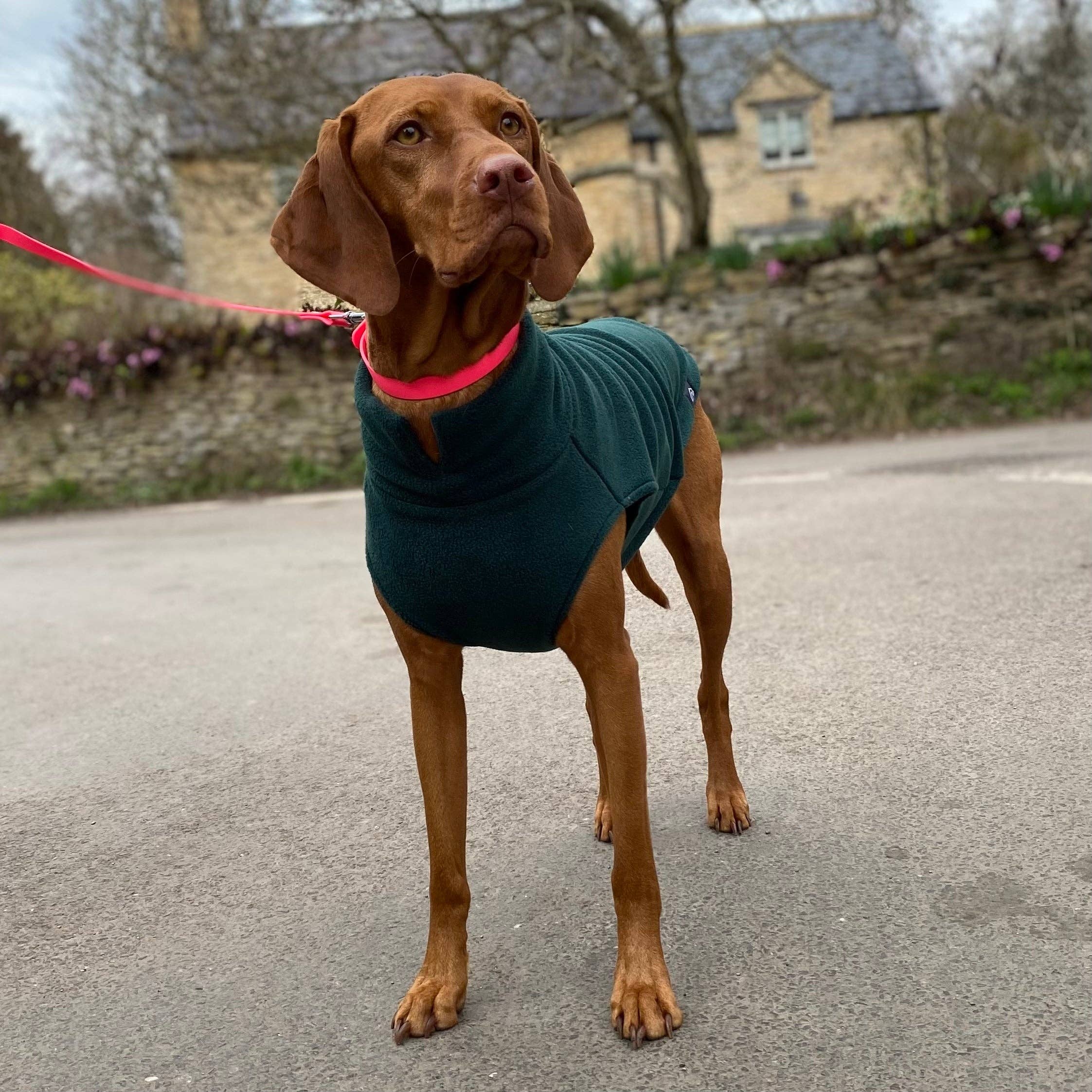 Doghouse – wholesale Tröja - Hund – Hundtröja i fleece för stora raser5