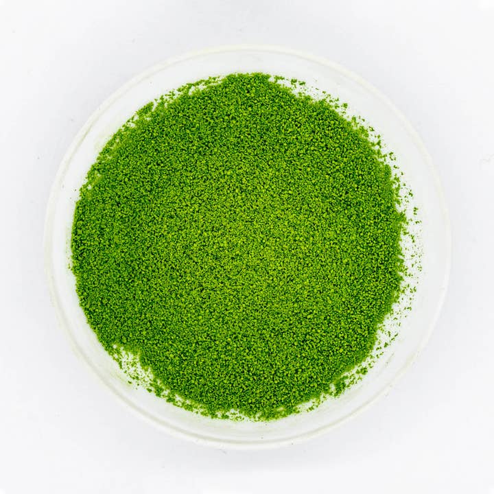 Uji Samidori Matcha for wholesale by Tezumi