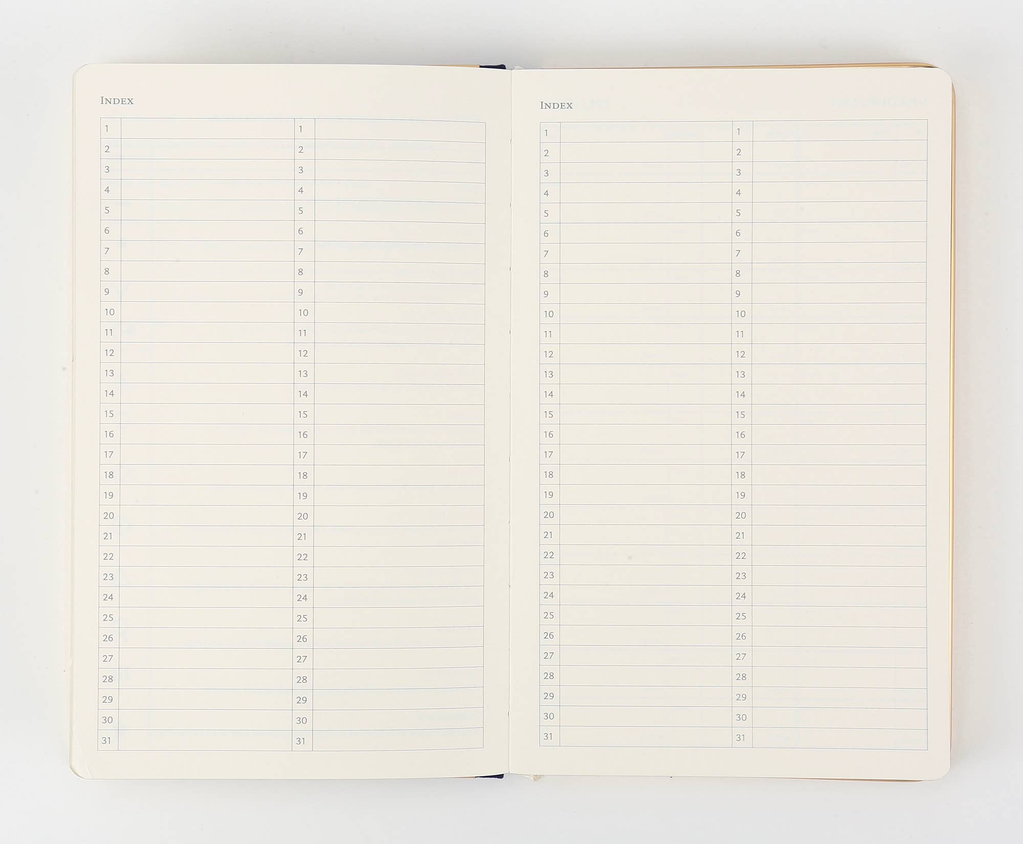 Victoria's Journals - Wholesale Planner - Monaco Undated Diary Personal Planner Veganistische omslag (beige)5