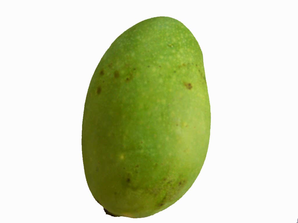 BIOGOUT - Wholesale Dried/Dehydrated Fruit - Organic Dried Mango, no added sugar - 10kg5