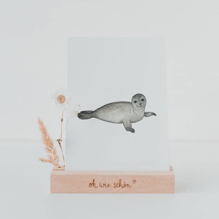 Eulenschnitt - Vendita all'ingrosso Biglietti di auguri generici - Cartolina ad acquerello Foca (CF = 10 pezzi)