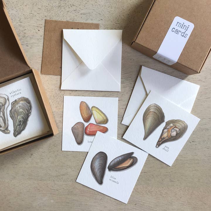 Mini Cards Set / Bivalves (Clams, Mussels, Cockles) and other Purchase Wholesale mussel. Free Returns & Net 60 Terms on Faire trending on Faire.