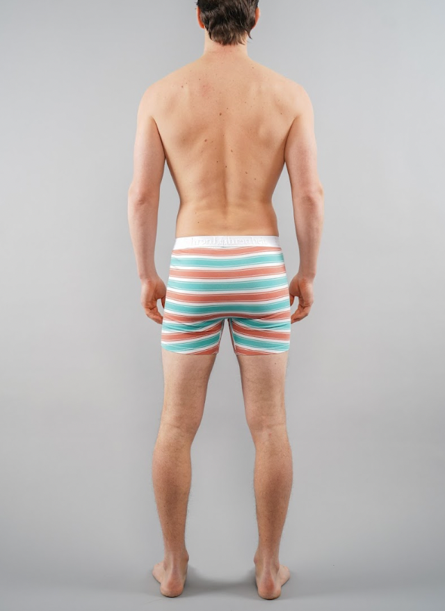 Fahrenheit – Roupa interior - Homem por atacado – Boxer Brief/Roupa interior masculina Coral & Green Stripe Algodão3